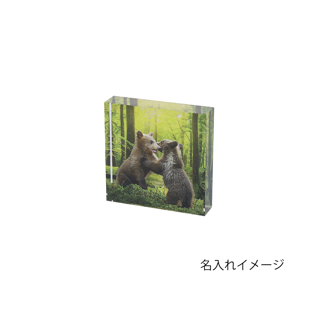 アクリルブロックのイメージ3