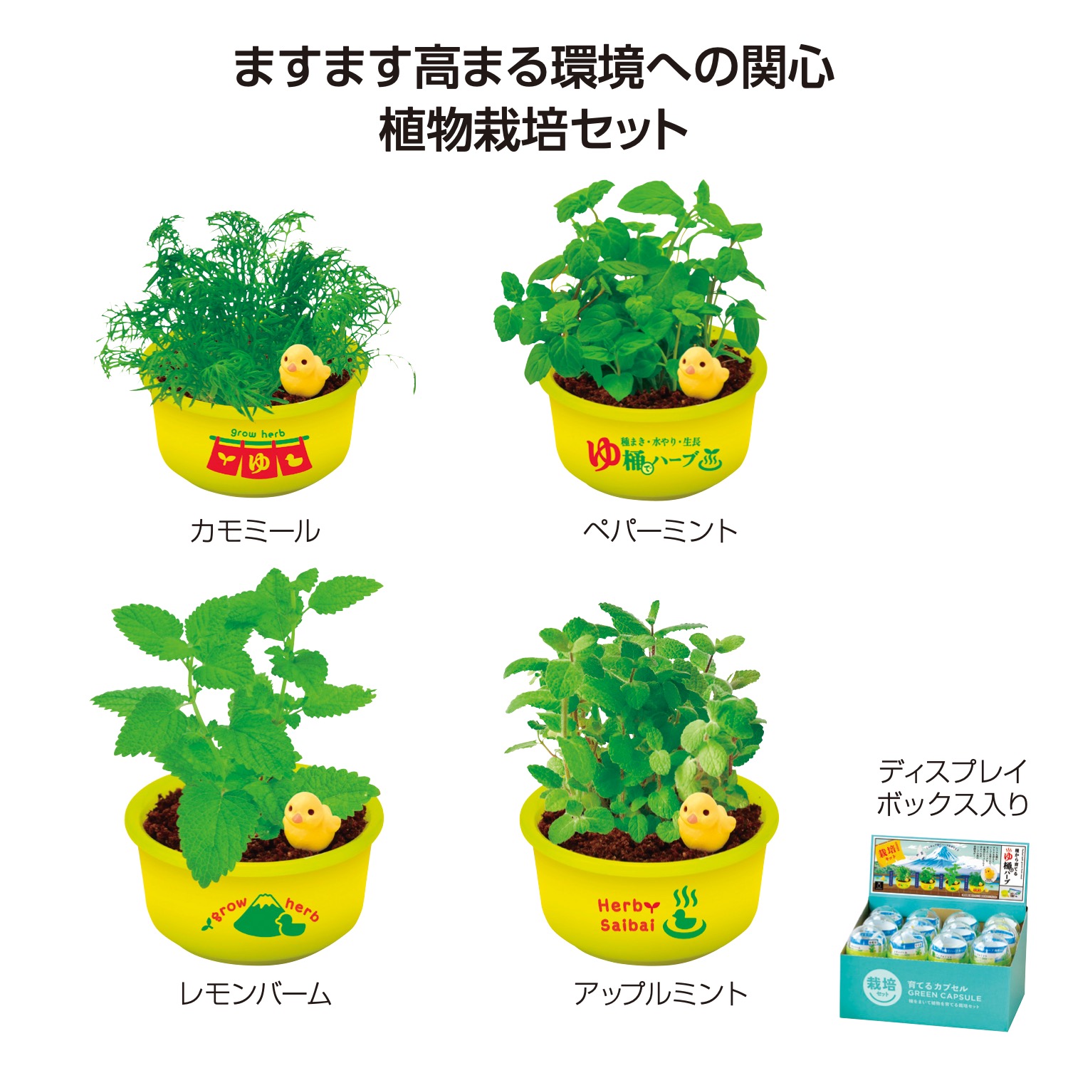育てるカプセル ゆ桶でハーブ栽培イメージ