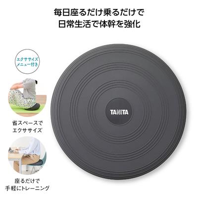 タニタ　バランスクッションイメージ